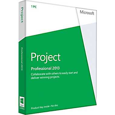 Project Professional 2013