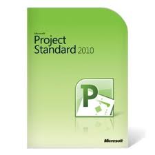 Project Standard 2010