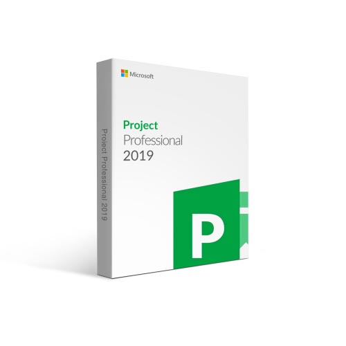 Project Professional 2019